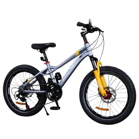 Vélo Enfant 20 pouce en Alliage d'Aluminium – Pour Enfants de 10 Ans