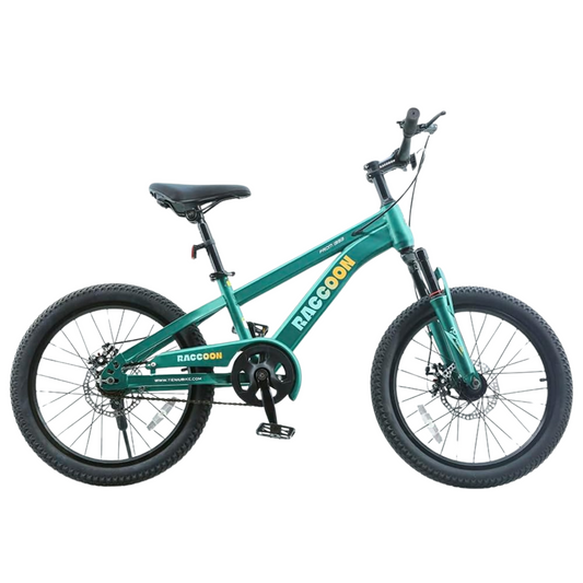 Vélo pour enfant "RACOON" 20 pouce 8 ans et plus - Vert