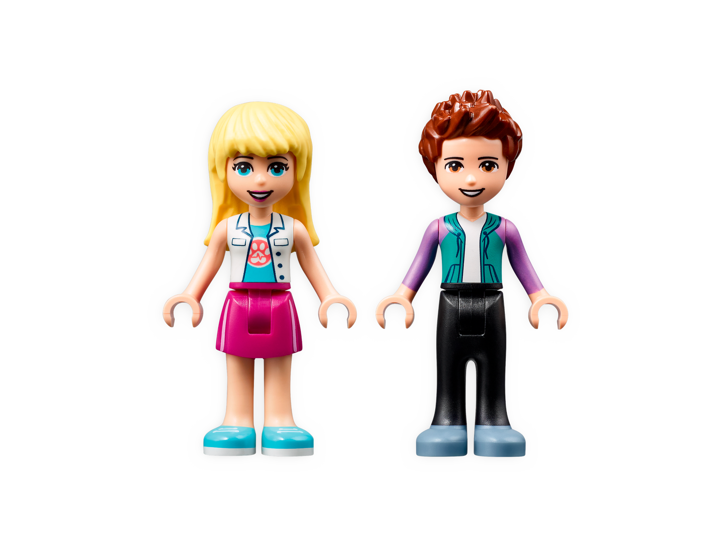 L’ambulance de la clinique vétérinaire - LEGO® Friends