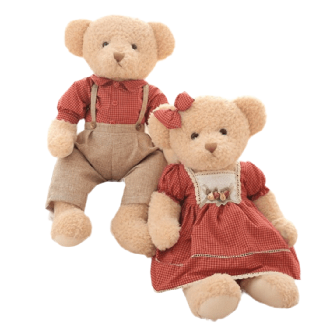 Couple d’ours en Peluche Marron (60 cm)