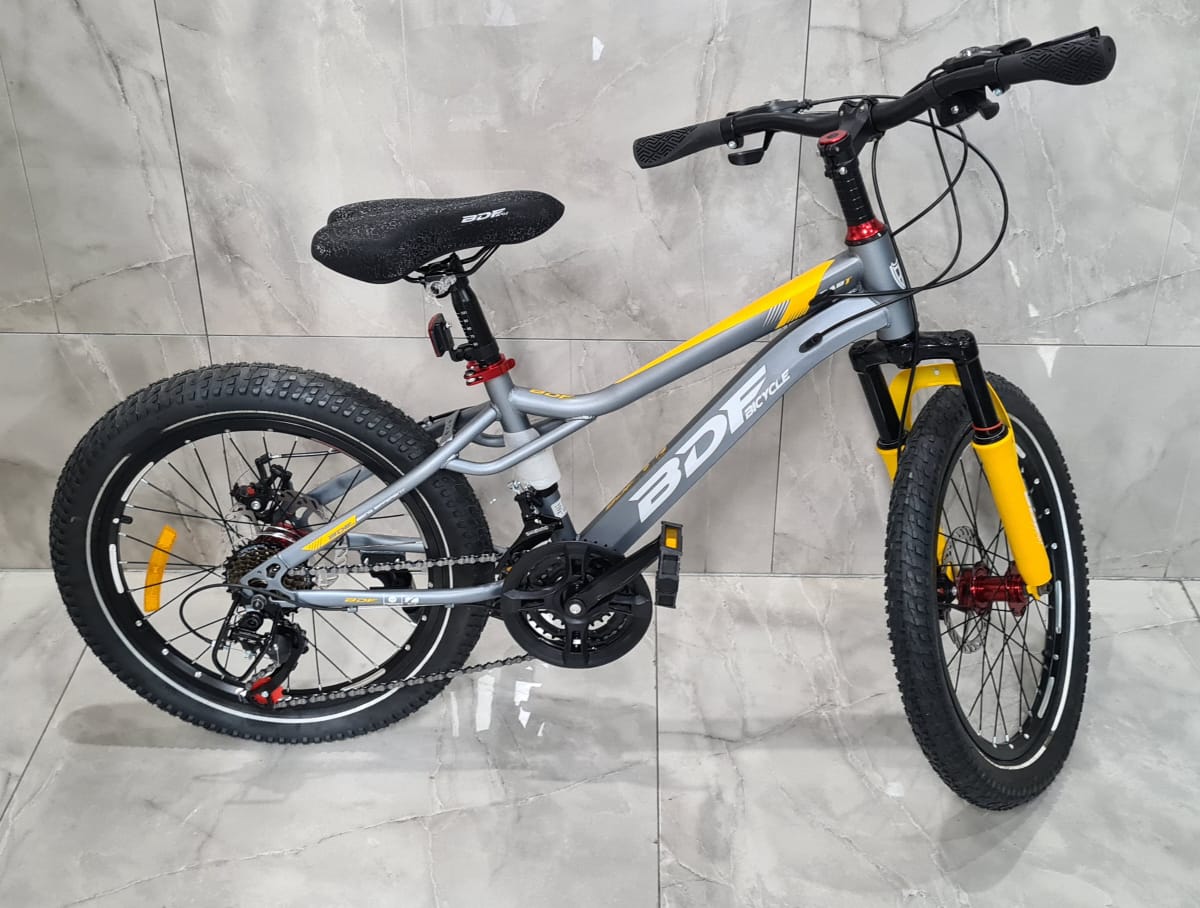 Vélo Enfant 20 pouce en Alliage d'Aluminium – Pour Enfants de 10 Ans