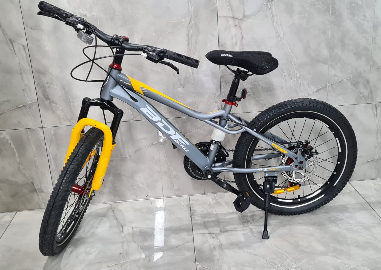 Vélo Enfant 20 pouce en Alliage d'Aluminium – Pour Enfants de 10 Ans