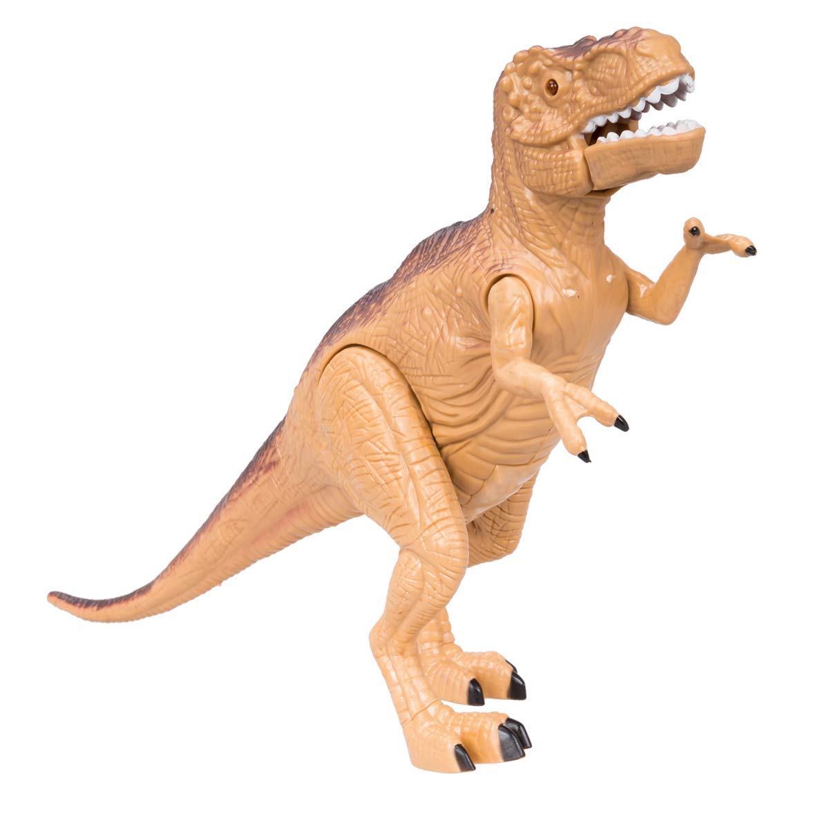 Ensemble Dinosaure T-rex avec Lumière et Son