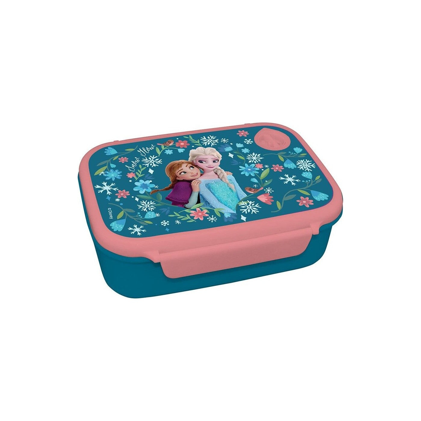 Set Repas Disney Frozen – Gourde et Boîte à Repas