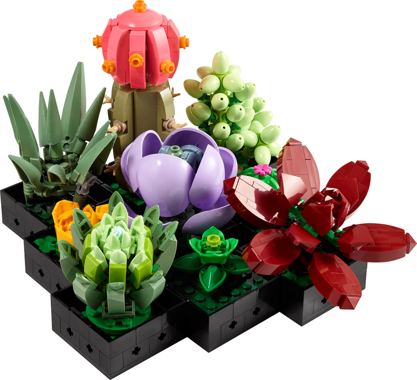 LEGO® Les Succulentes – Collection Botanique