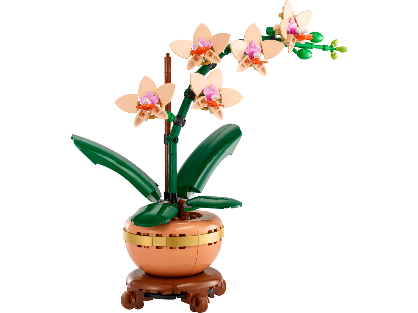 LEGO® Botanique – L’Orchidée Miniature