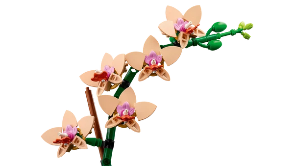 LEGO® Botanicals 10343 - Le Mini Orchidée