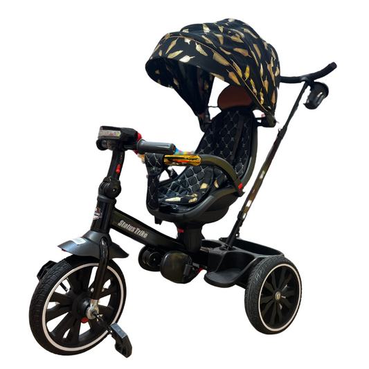 Tricycle évolutif luxe avec auvent motif plumes – Noir et or