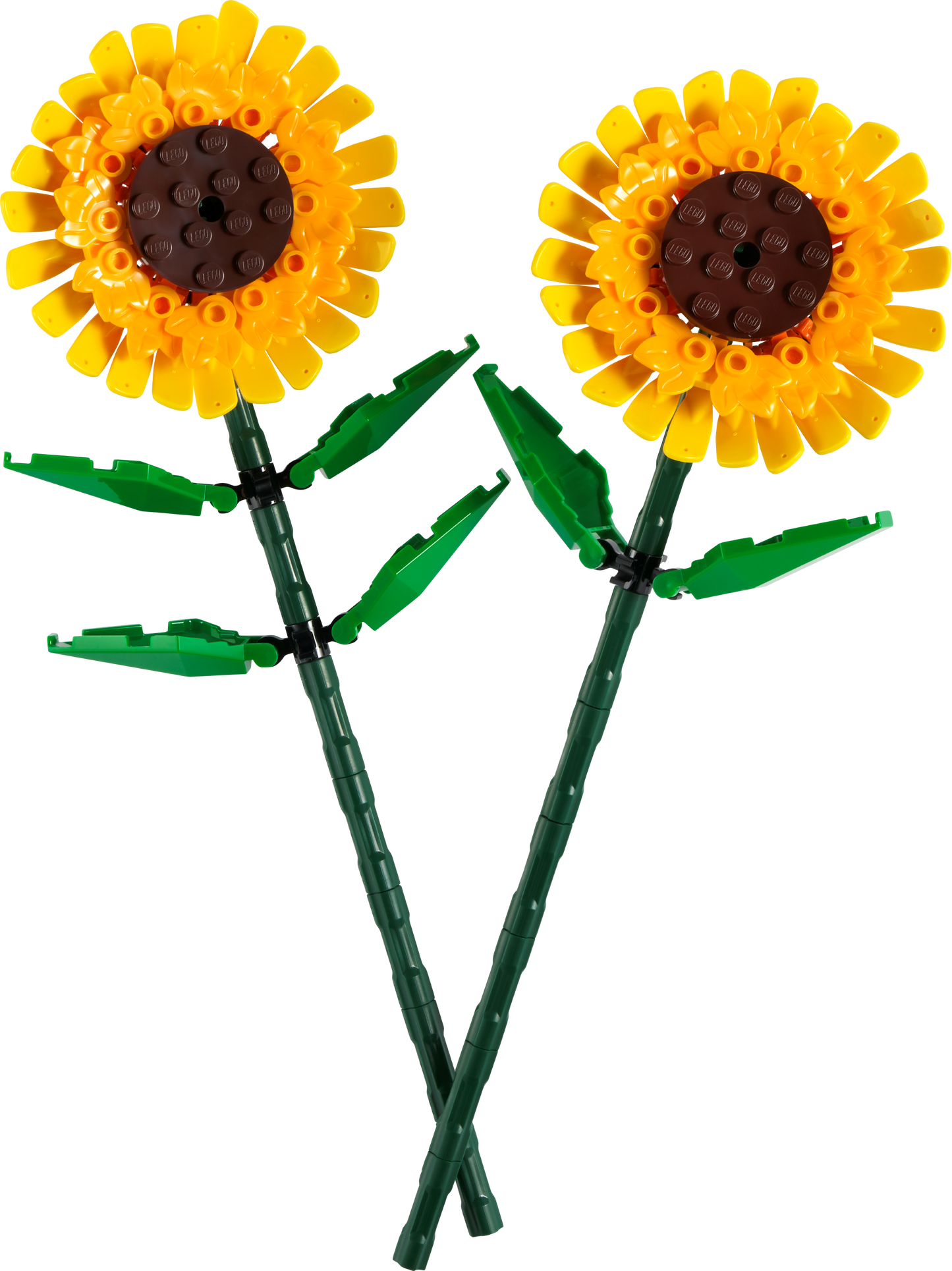 LEGO® Botanical Collection 40524 - Les Tournesols