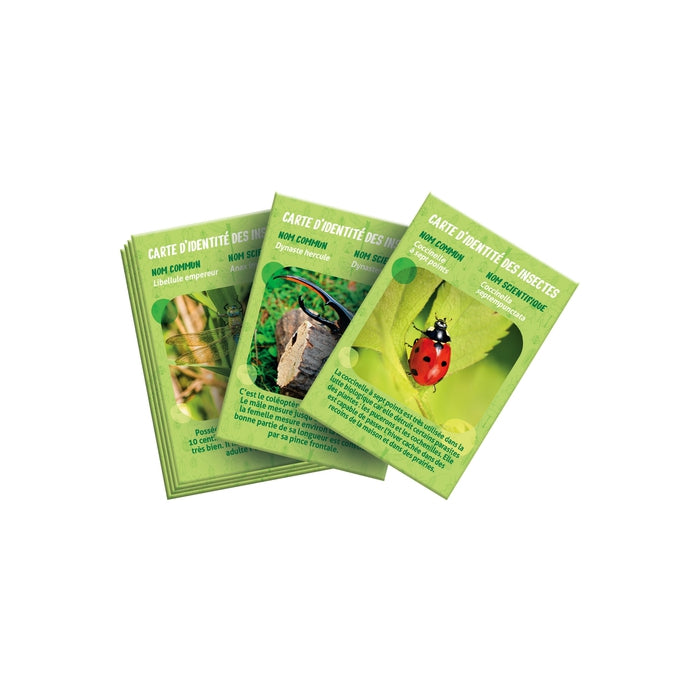 La Maison des Insectes – Clementoni