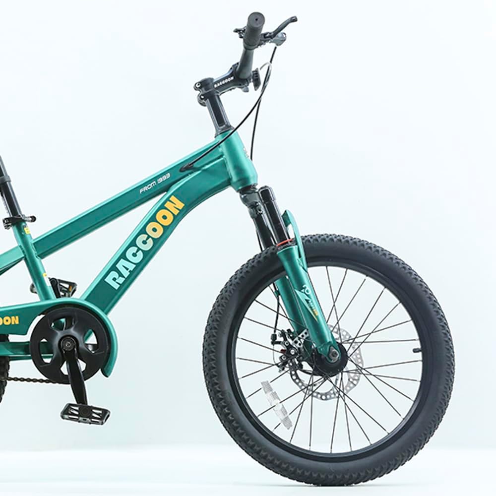 Vélo pour enfant "RACOON" 20 pouce 8 ans et plus - Vert