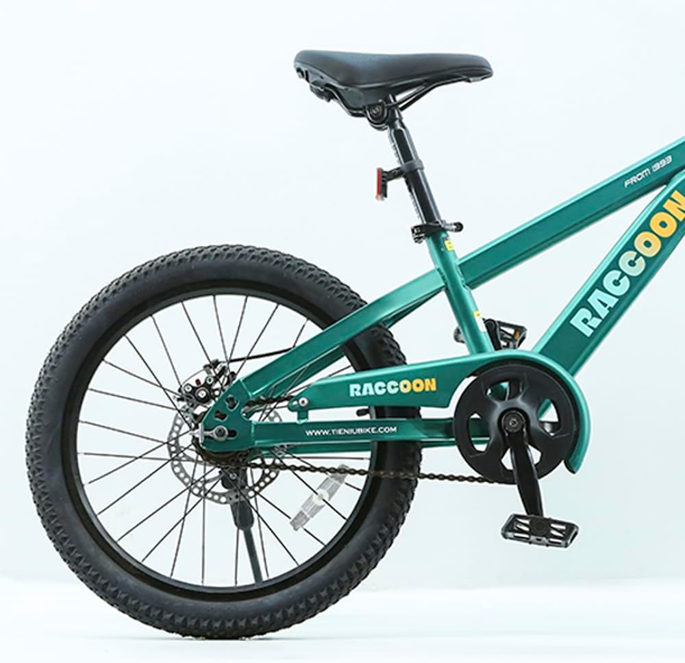 Vélo pour enfant "RACOON" 20 pouce 8 ans et plus - Vert