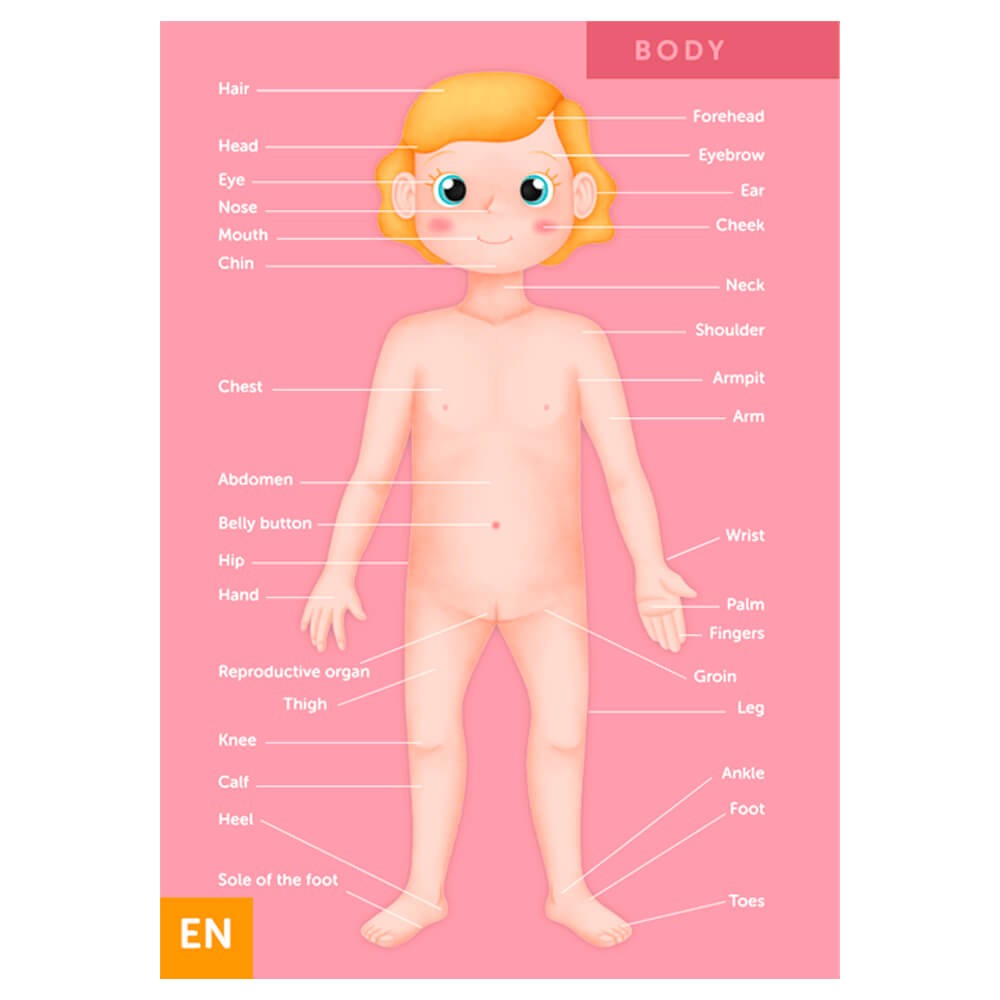 Puzzle Corps Humain 100 Pièces – Découverte de l'Anatomie pour Enfants
