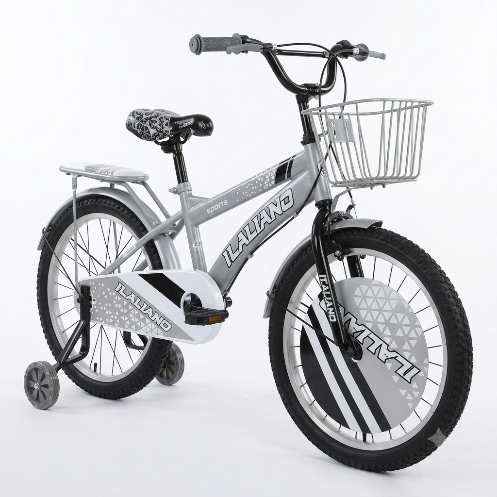 Vélo 20 Pouces – Gris Urbain