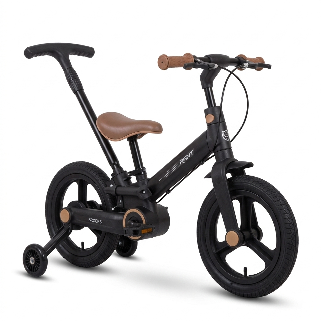 Draisienne Évolutive Premium pour Enfant avec Canne Parentale – Noir