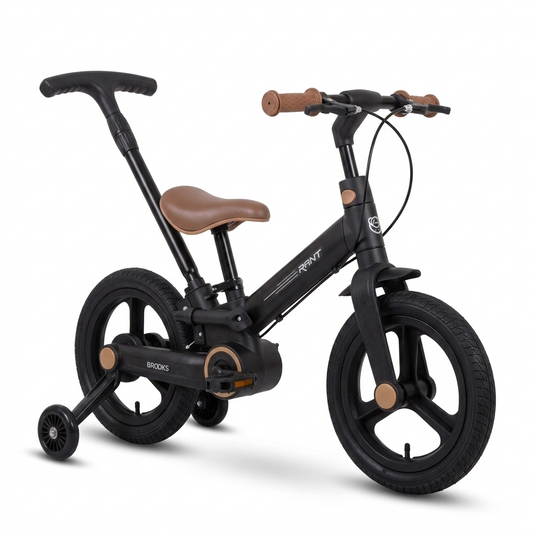 Draisienne Évolutive Premium pour Enfant avec Canne Parentale – Noir