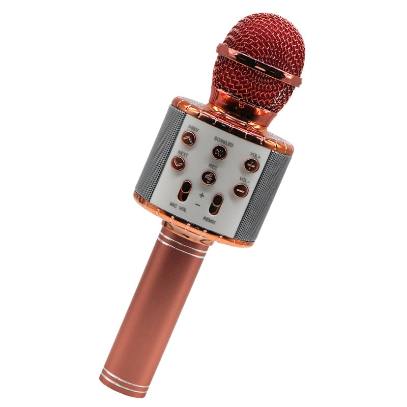 Microphone Karaoké Sans Fil
