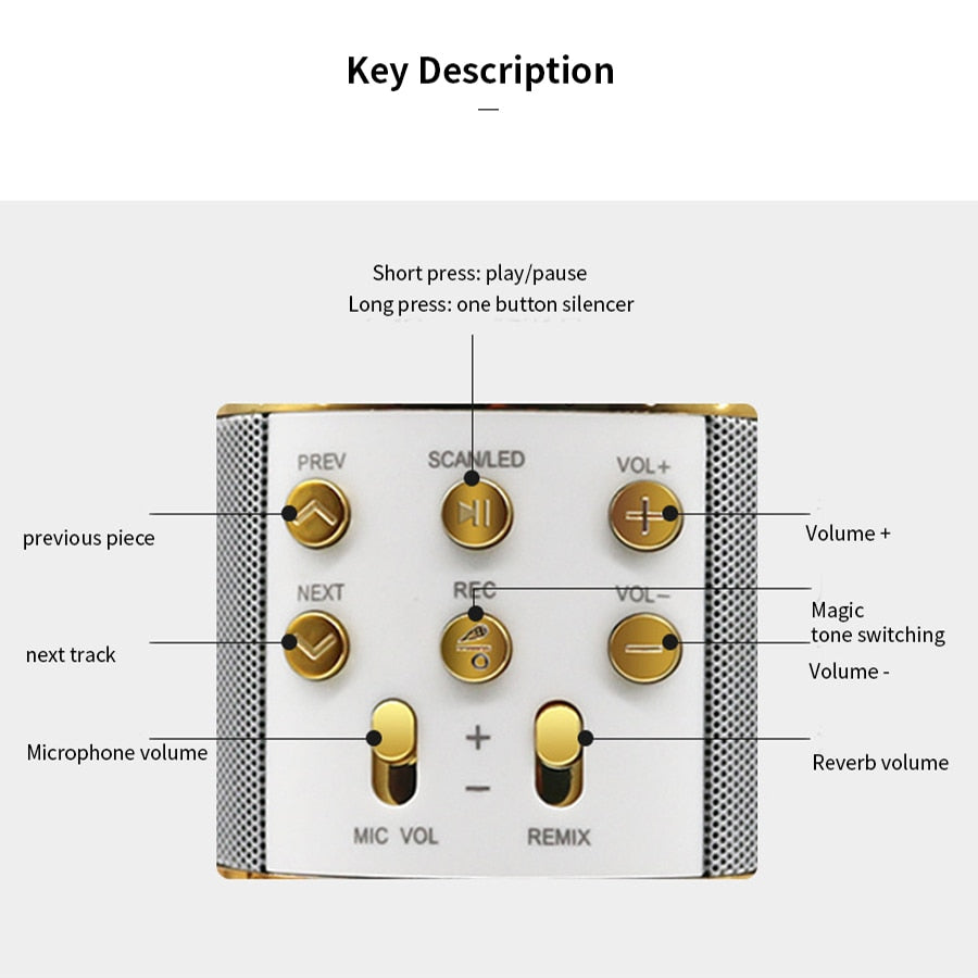 Microphone Karaoké Sans Fil