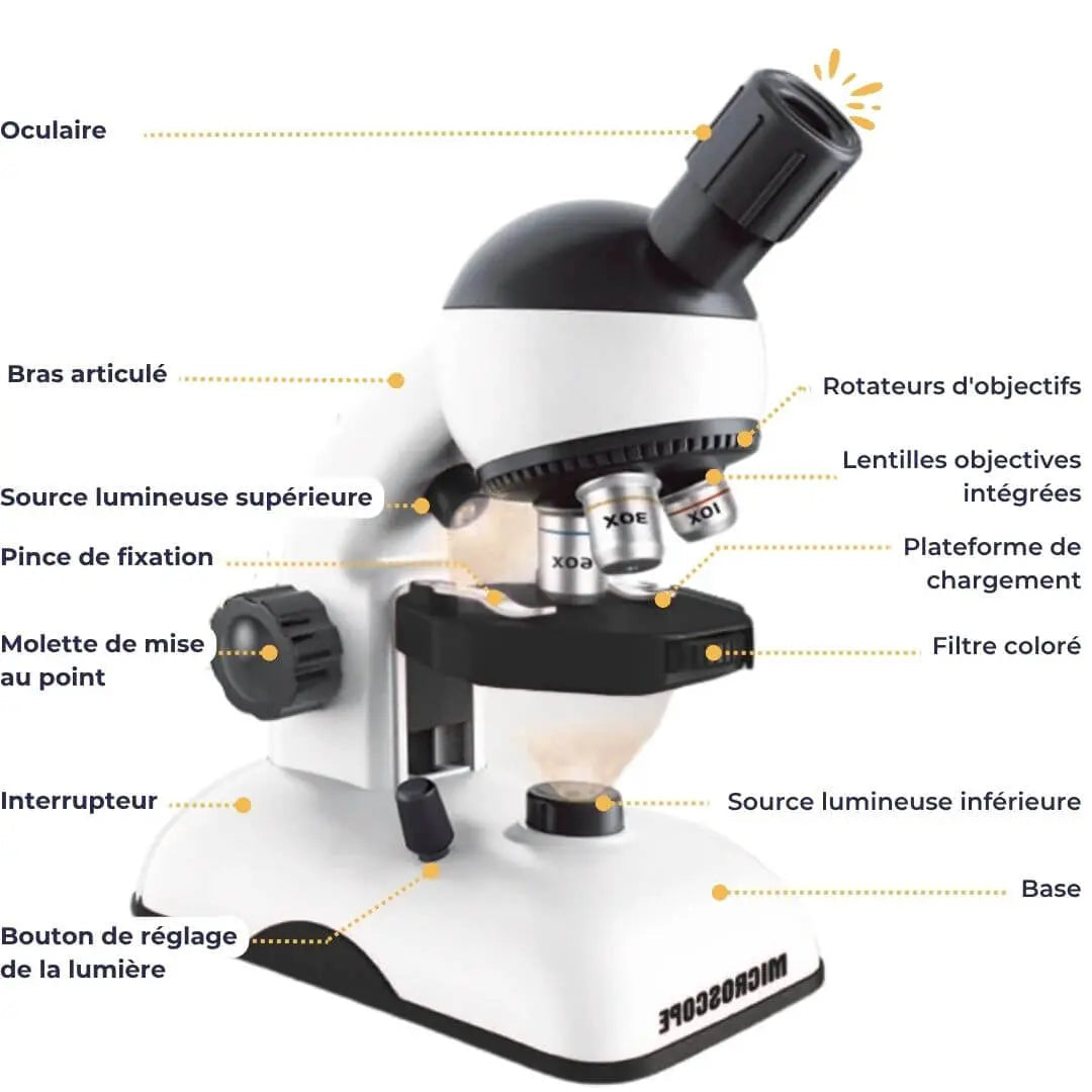 Microscope Enfant Haute Précision - ScientiMax™