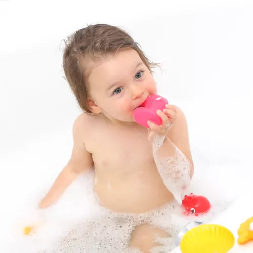 Animaux Aspergeurs : Mer (12 pièces) – LUDI