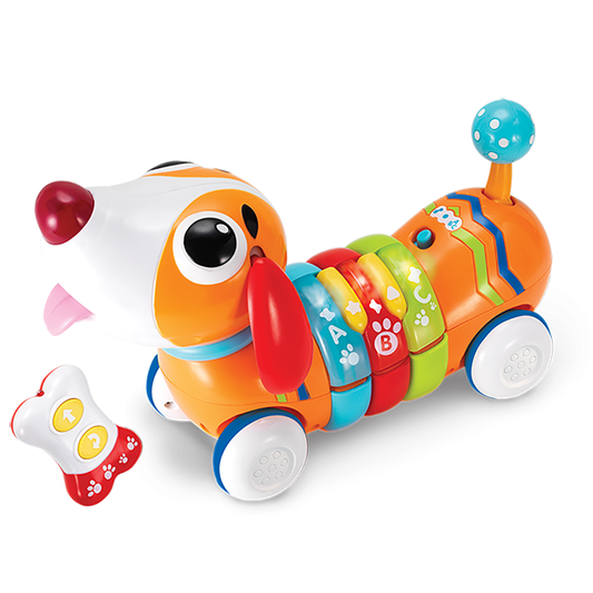 Chien coloré RC – Winfun