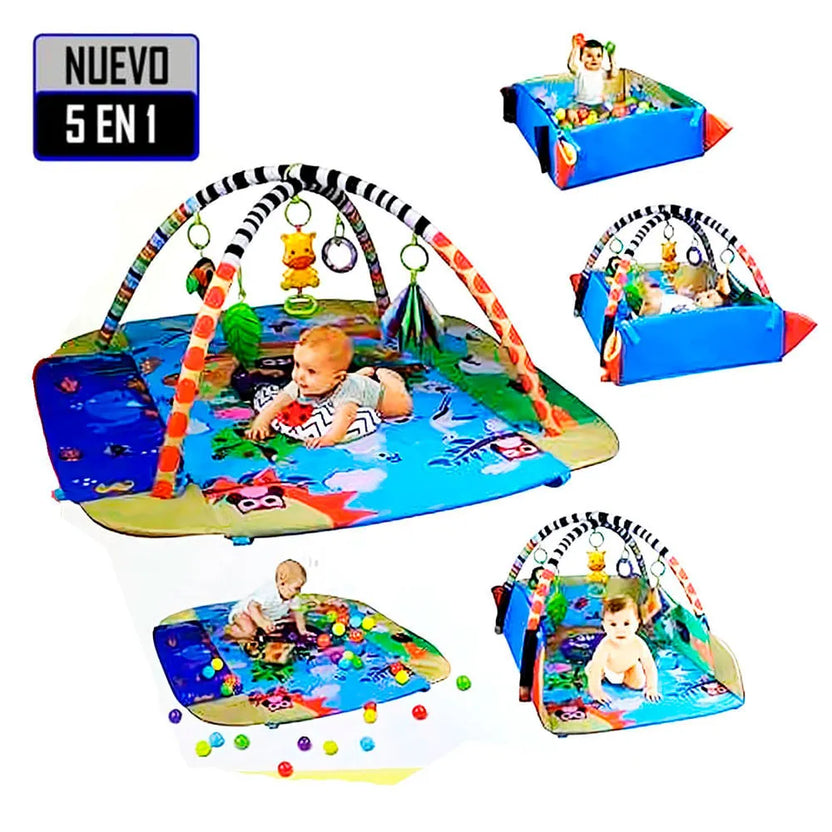 Tapis d'Éveil Multifonction Lionelo Anika Plus avec Piscine à Balles