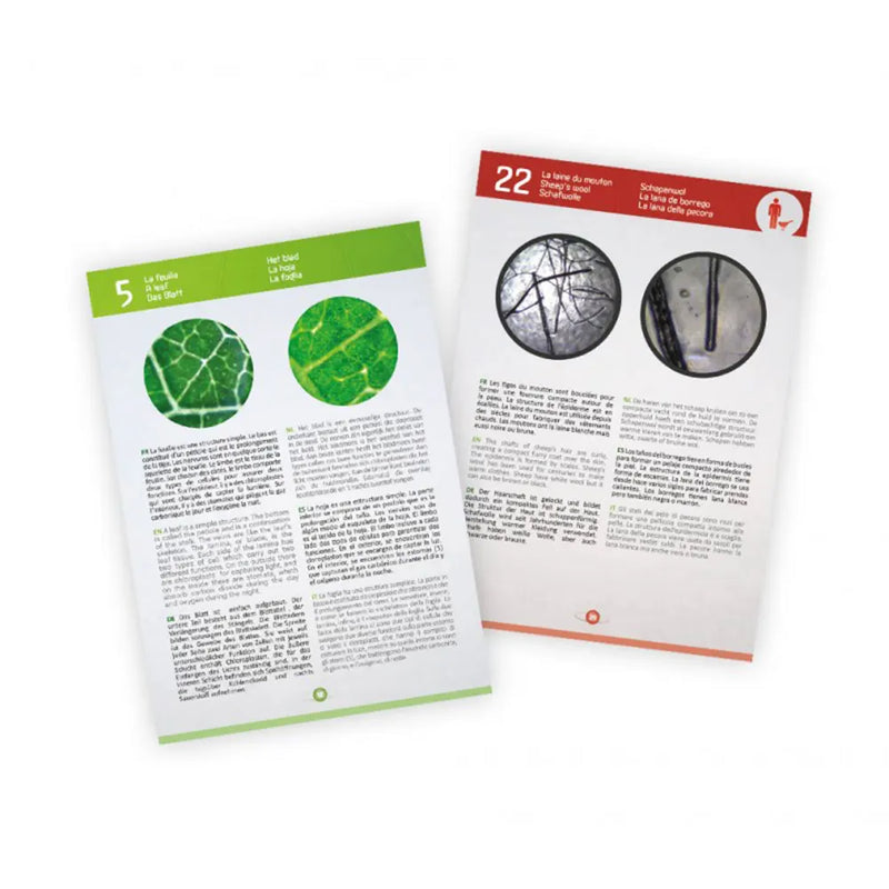 Buki Microscope Vidéo 3-en-1 – 8A+