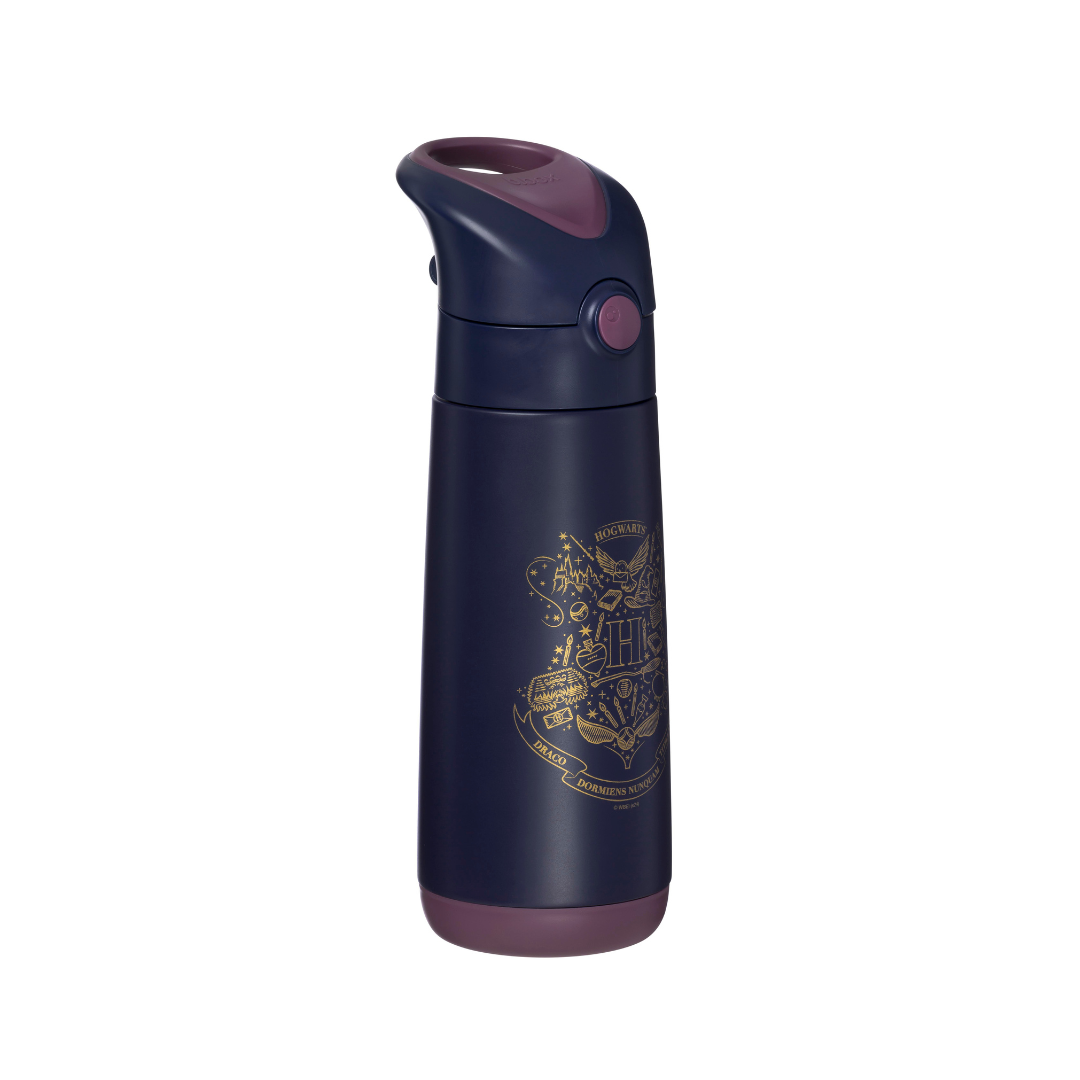 BBOX Gourde Isotherme 500ml – Harry Potter