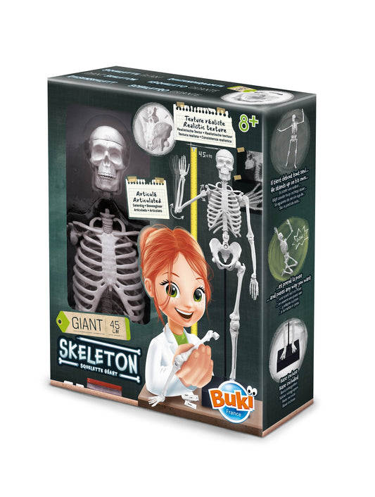 Squelette 45 cm – Buki